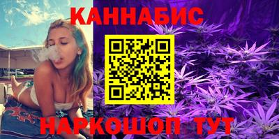 стафф Можга