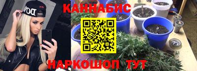стафф Можга