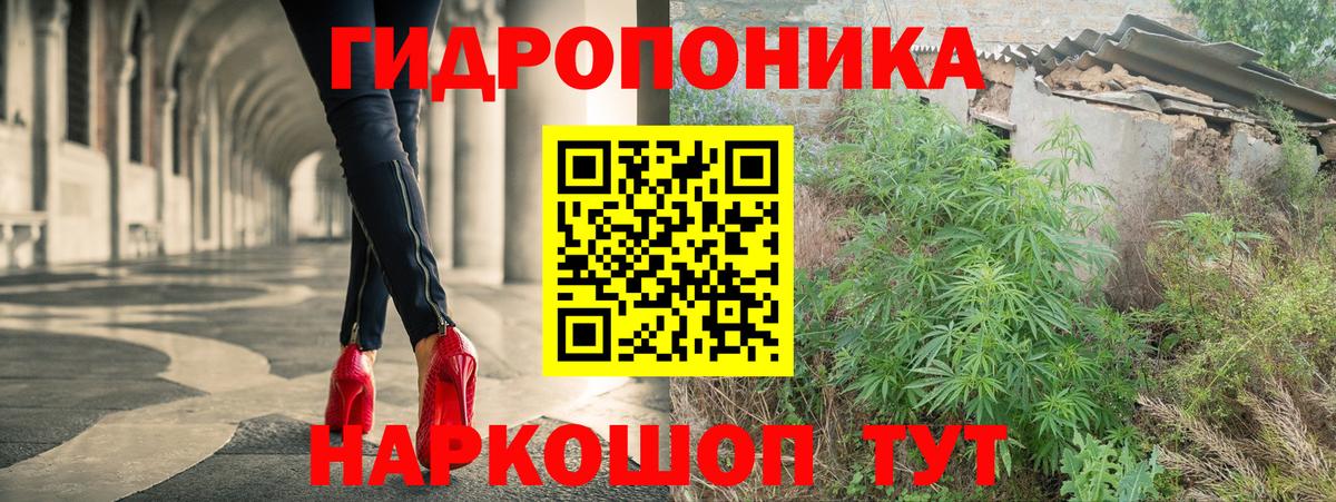 Шишки марихуана конопля Ухта